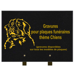 PLAQUE FUNÉRAIRE 25X35 CHIENS GRANIT SUR PIEDS