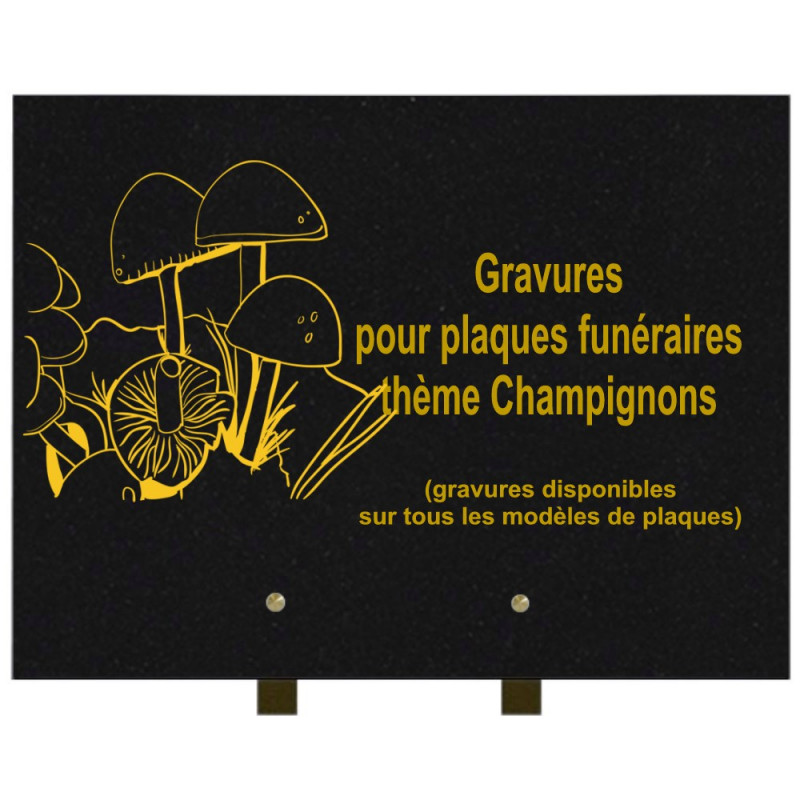 PLAQUE FUNÉRAIRE 30X40 CHAMPIGNONS GRANIT SUR PIEDS