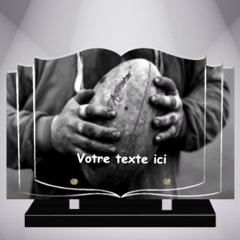 plaque livre sport rugby