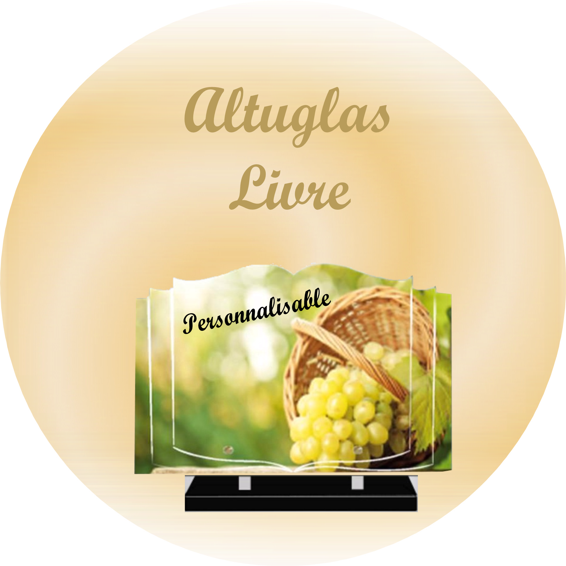 PLAQUE MODERNE PLEXIGLASS LIVRE PERSONNALISABLE VENTOUSE