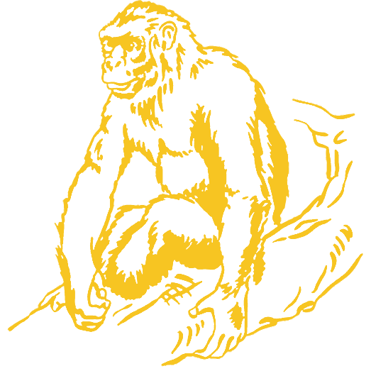 plaque mortuaire personnalisée gorille
