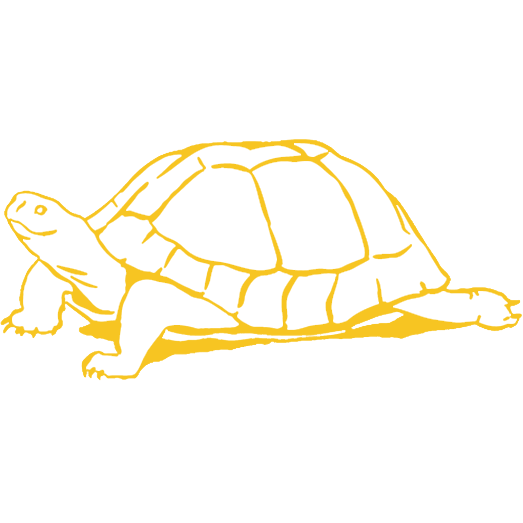plaque mortuaire animaux tortue