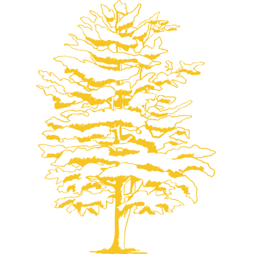 plaque funeraire personnalisée gravure arbre aulnes
