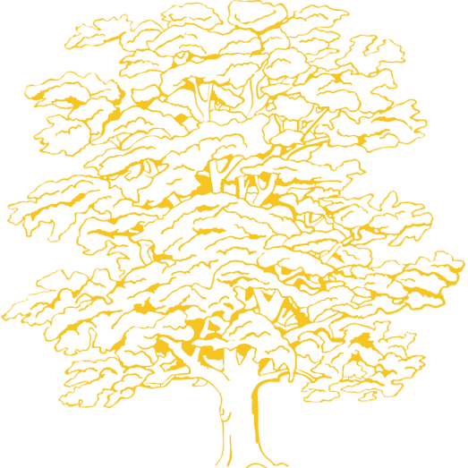plaque funeraire personnalisée gravure arbre chêne
