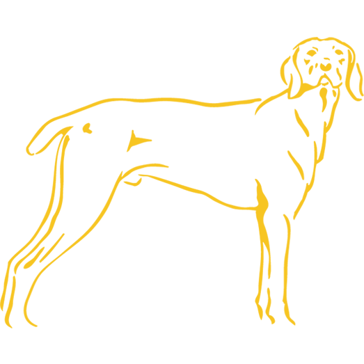 Plaque funéraire motif chien Braque