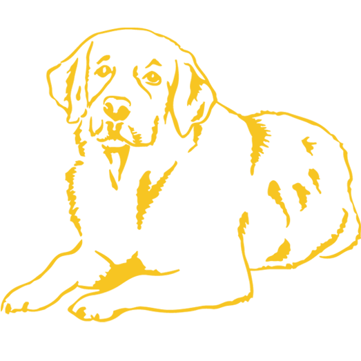 Plaque funéraire avec motif chien Golden Retriever