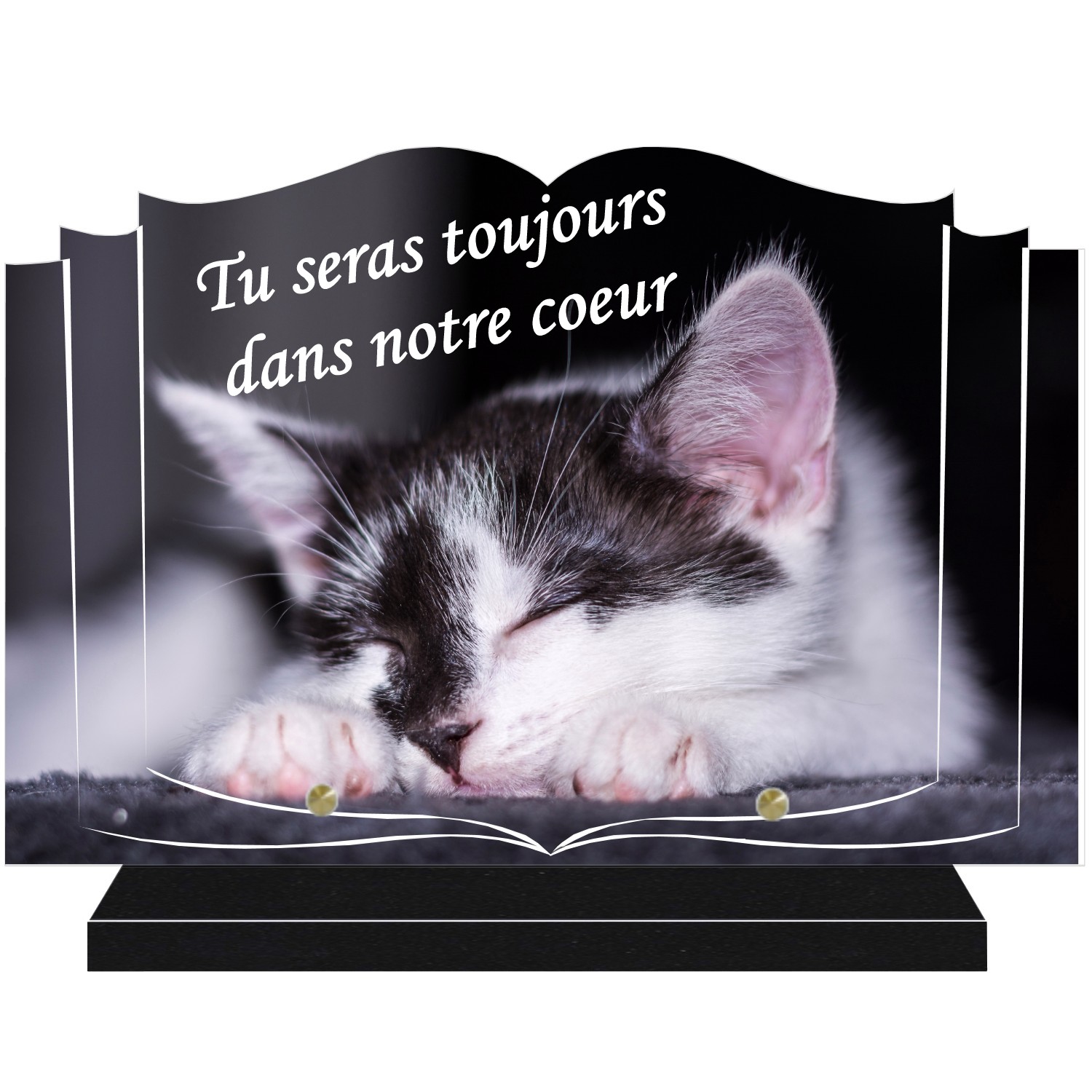 Plaques funéraires chat - gravure theme chats pour plaques funeraires