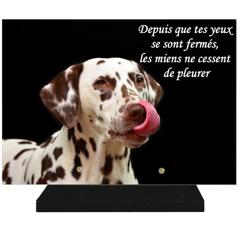 CHIEN Plaques funéraires chien -  theme chiens pour plaques funeraires