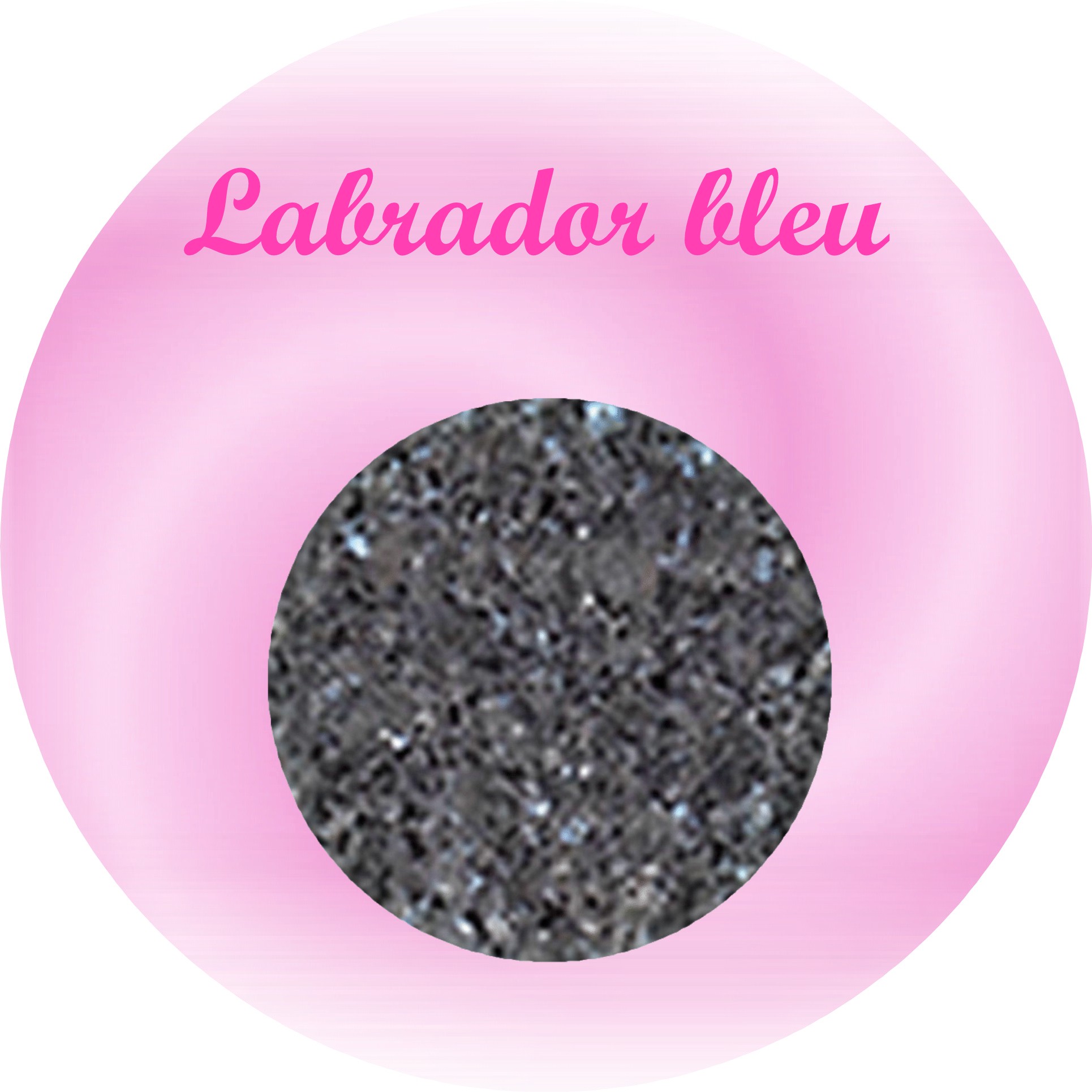 labrador bleu plaque funéraire granit