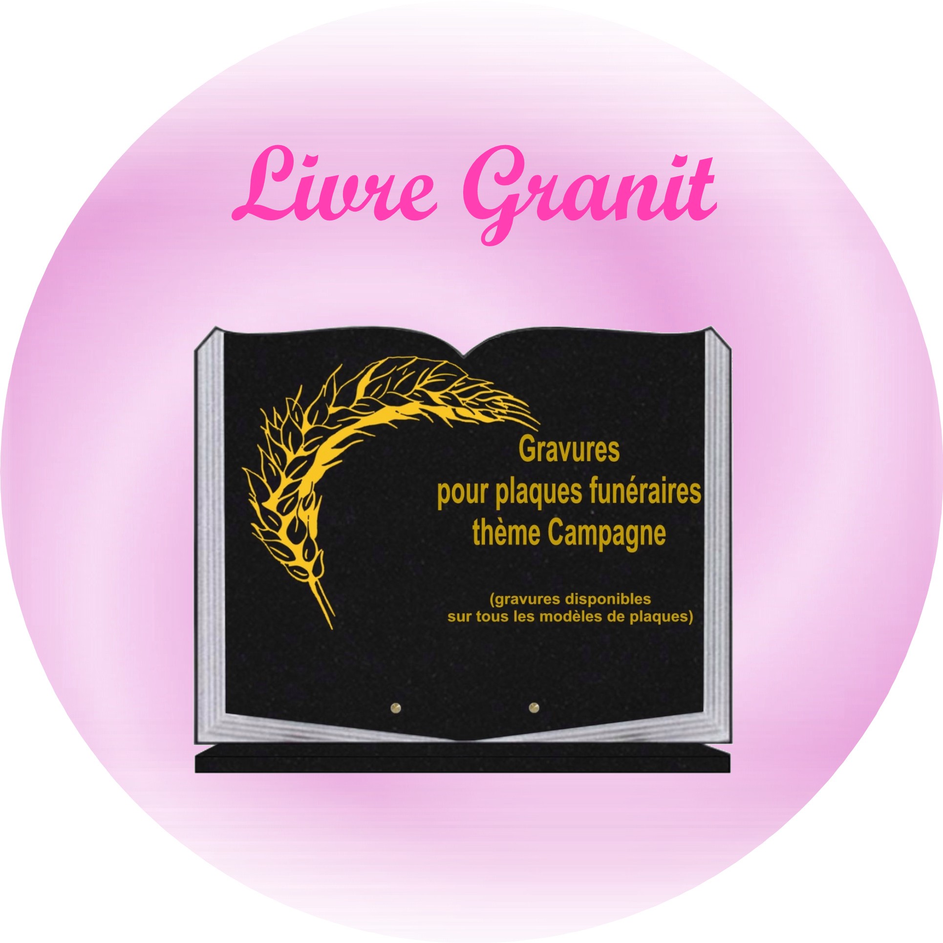 livre Granit Plaque funéraire