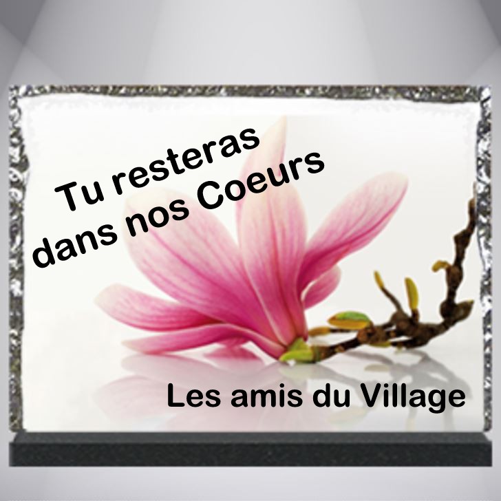 PLAQUES FUNÉRAIRES LAVE ÉMAILLÉE